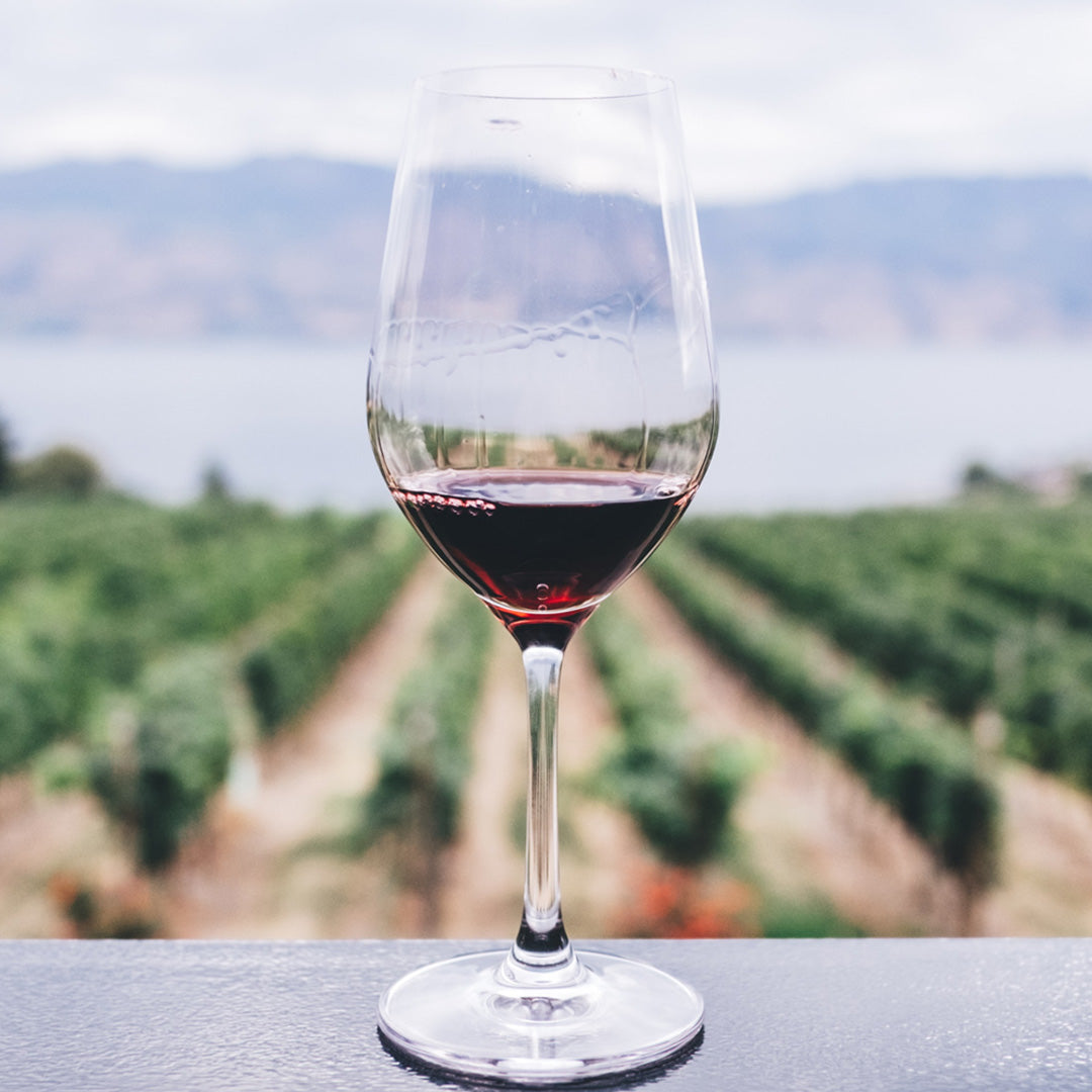 Creme Viso al Vino? La soluzione si chiama Barò Cosmetics