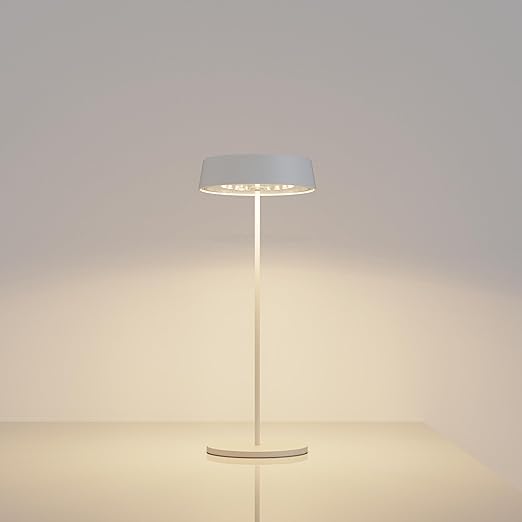 DE: Palmin -Lampe weiss