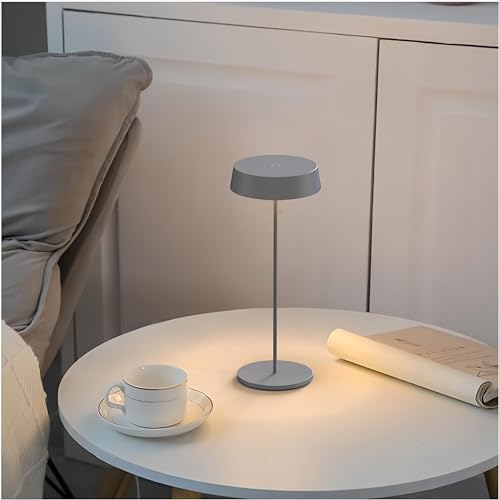 DE: Palmin -Lampe grau