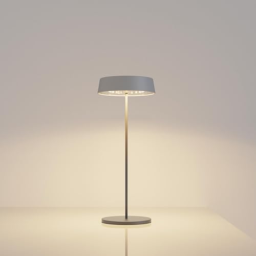 DE: Palmin -Lampe grau